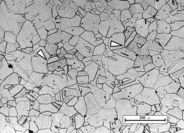 Microcosm of Austenitic stainless steel